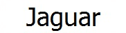 Jaguar Boiler Parts logo