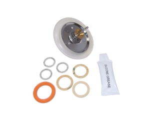 WORCESTER 87161110380 DIAPHRAGM KIT