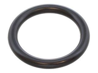 GLOWWORM S208732 O RING 21.82X3.53MM COMPACT