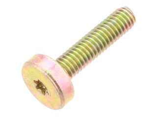 CHAFFOTEAUX 61017289 SCREW CLX M 4-16