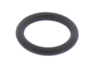 BIASI KI1001128 O-RING 925 X 178