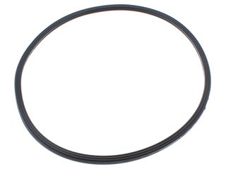 BIASI BI1293108 COMBUSTION CHAMBER LIP GASKET