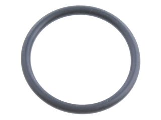 INTERGAS 875827 O-RING 19 X 2