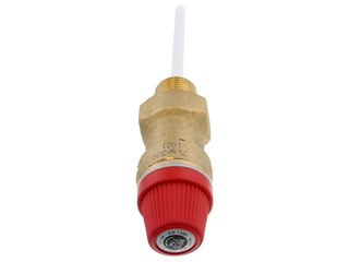 Range TS202 Tribune HE Temperature and Pressure Relief Valve