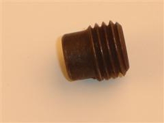 RIELLO SCREW (RAM PORT)