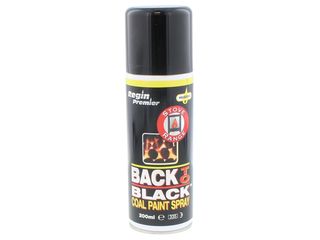 Regin REGZ65 'Back to Black' Coal Paint - 200ml